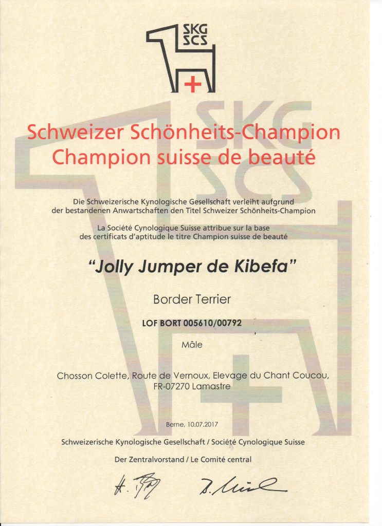 du chant du coucou - Jolly JUMPER DE kibefa Champion SUISSE
